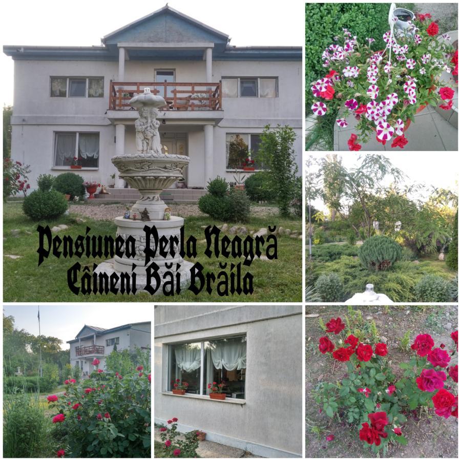 Perla Neagra Lotus Spa Caineni-Bai ภายนอก รูปภาพ